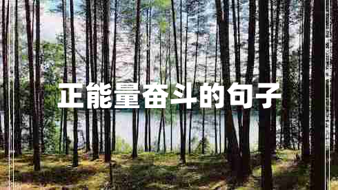 正能量奮斗的句子