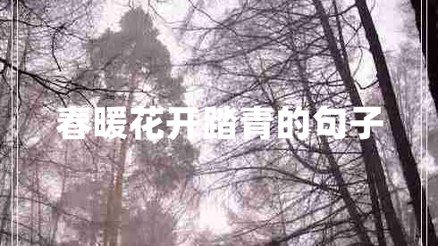春暖花開踏青的句子