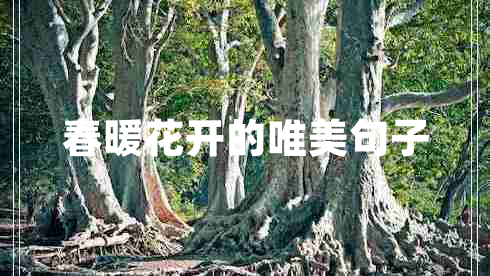 春暖花開(kāi)的唯美句子 春暖花開(kāi)的唯美句子