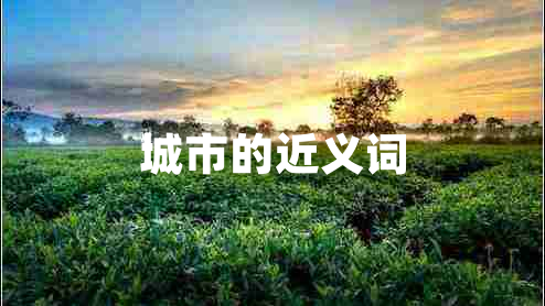 城市的近義詞