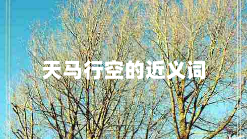 天馬行空的近義詞