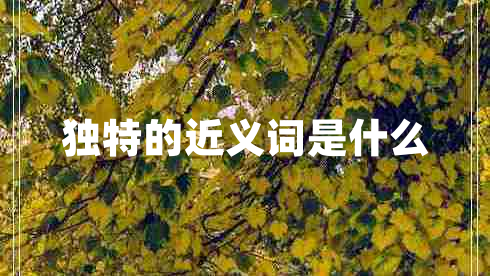 獨特的近義詞是什么