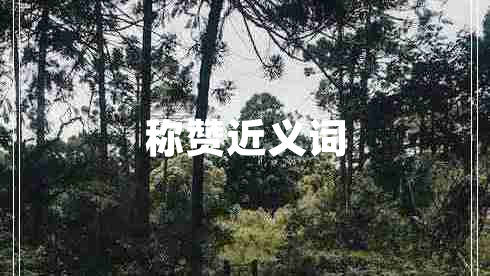 稱贊近義詞