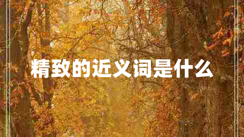 精致的近義詞是什么