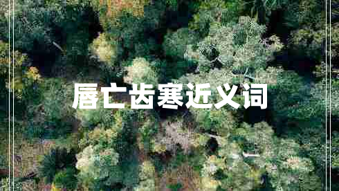 唇亡齒寒近義詞