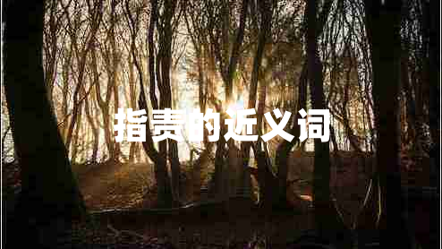 指責(zé)的近義詞