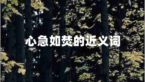 心急如焚的近義詞