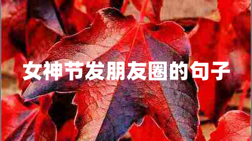 女神節(jié)發(fā)朋友圈的句子