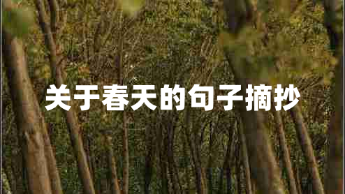 關(guān)于春天的句子摘抄 關(guān)于春天的句子摘抄