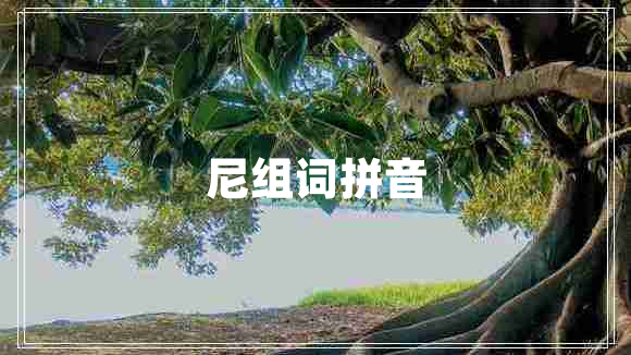 尼組詞拼音 尼組詞拼音