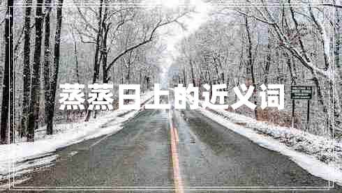 蒸蒸日上的近義詞