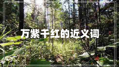 萬紫千紅的近義詞