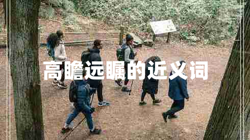 高瞻遠(yuǎn)矚的近義詞