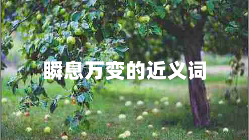 瞬息萬變的近義詞