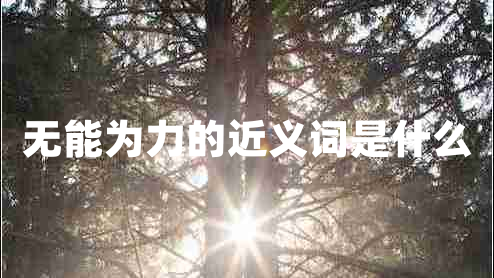 無能為力的近義詞是什么