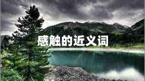 感觸的近義詞