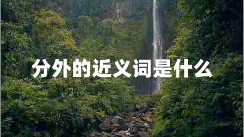 分外的近義詞是什么