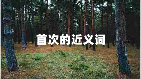 首次的近義詞