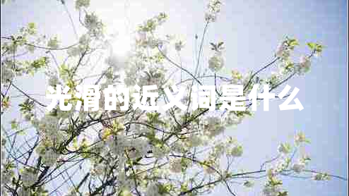 光滑的近義詞是什么