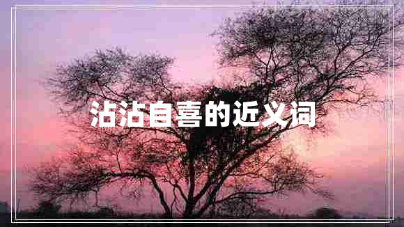 沾沾自喜的近義詞