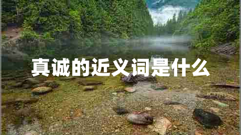 真誠(chéng)的近義詞是什么