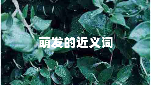 萌發(fā)的近義詞