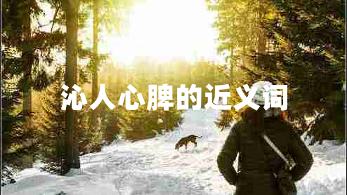 沁人心脾的近義詞