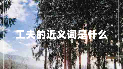 工夫的近義詞是什么