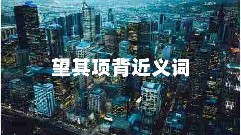 望其項背近義詞