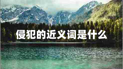 侵犯的近義詞是什么 侵犯的近義詞是什么