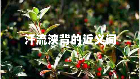 汗流浹背的近義詞