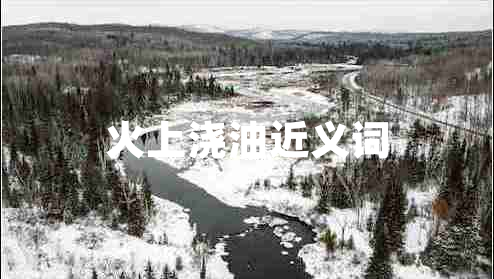 火上澆油近義詞