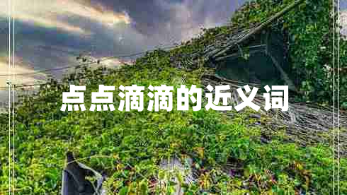 點點滴滴的近義詞