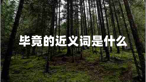 畢竟的近義詞是什么