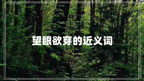 望眼欲穿的近義詞