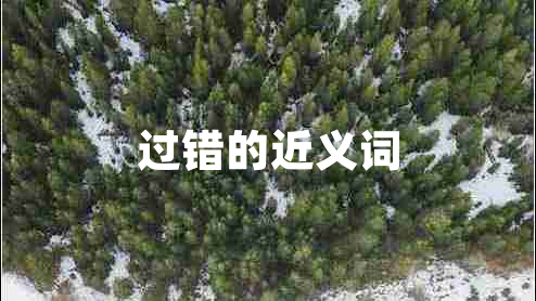 過(guò)錯(cuò)的近義詞