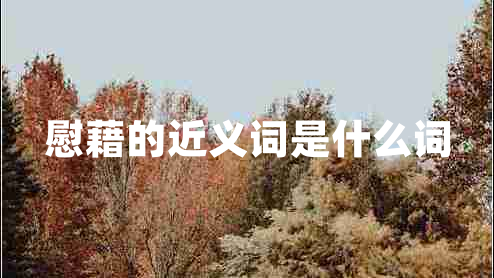 慰藉的近義詞是什么詞