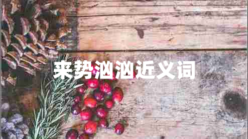 來(lái)勢(shì)洶洶近義詞