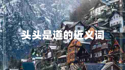 頭頭是道的近義詞