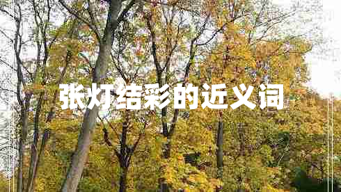 張燈結(jié)彩的近義詞