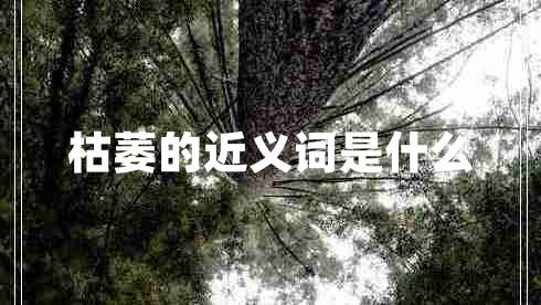 枯萎的近義詞是什么