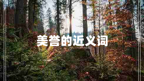 美譽(yù)的近義詞