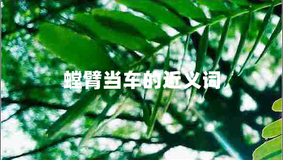 螳臂當(dāng)車(chē)的近義詞