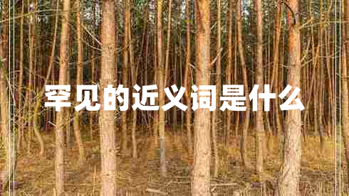 罕見的近義詞是什么