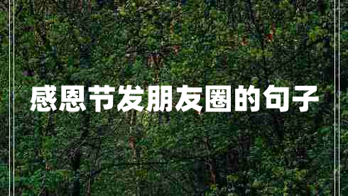 感恩節(jié)發(fā)朋友圈的句子