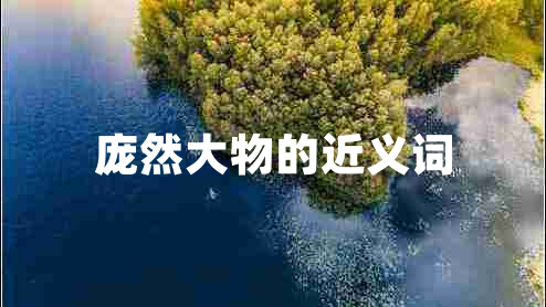 龐然大物的近義詞