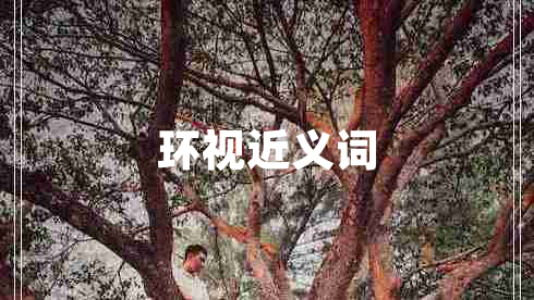 環(huán)視近義詞