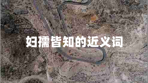 婦孺皆知的近義詞