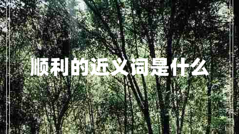 順利的近義詞是什么