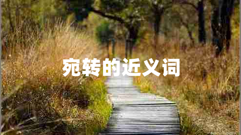 宛轉(zhuǎn)的近義詞